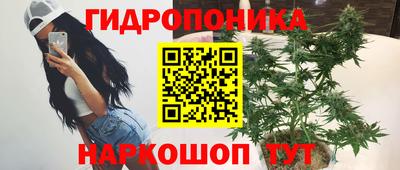 тгк Лесосибирск